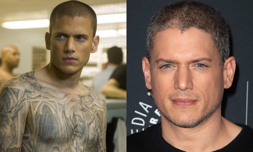 I’m Gay, I No Longer Want To Play Straight Characters — Prison Break Star Actor, Wentworth Miller