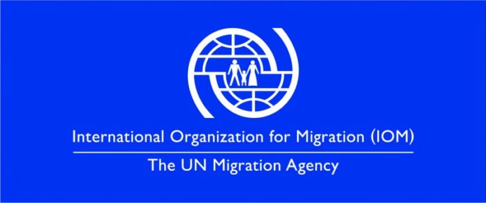 Apply For Centre Manager At The International Organization For Migration
