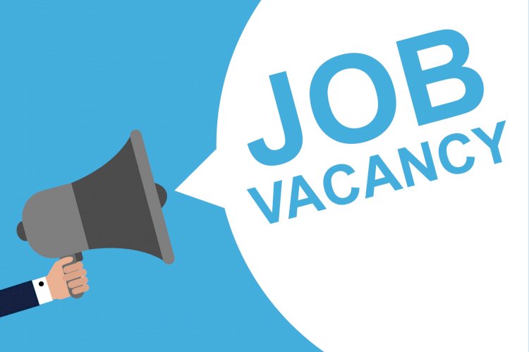 Recruitment: Apply For Softcom Job Vacancies Here