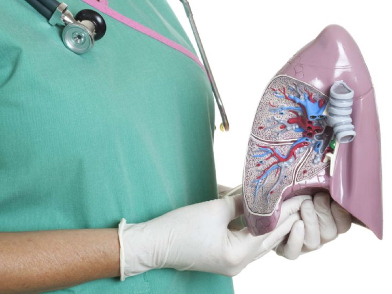 Mesothelioma: Everything You Should Know About This Form Of Cancer