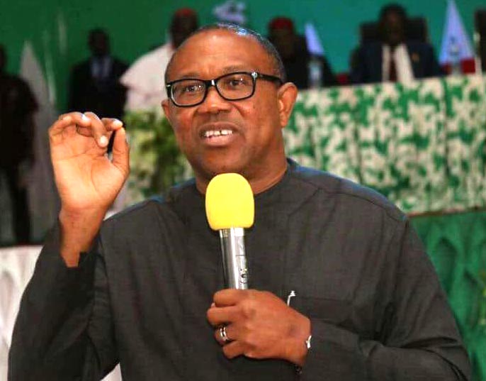 Peter Obi Popular On Social Media, We'll Crush Him - Anambra PDP