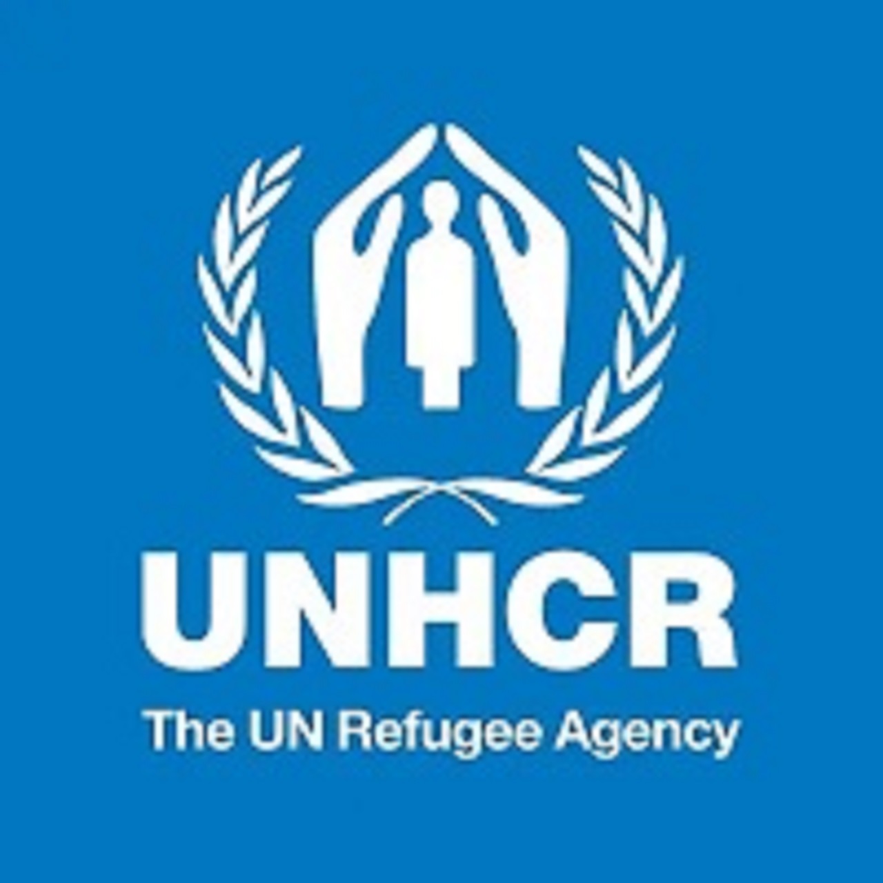 Recruitment: United Nations High Commissioner For Refugees Recruitment 2021 (3 Positions)