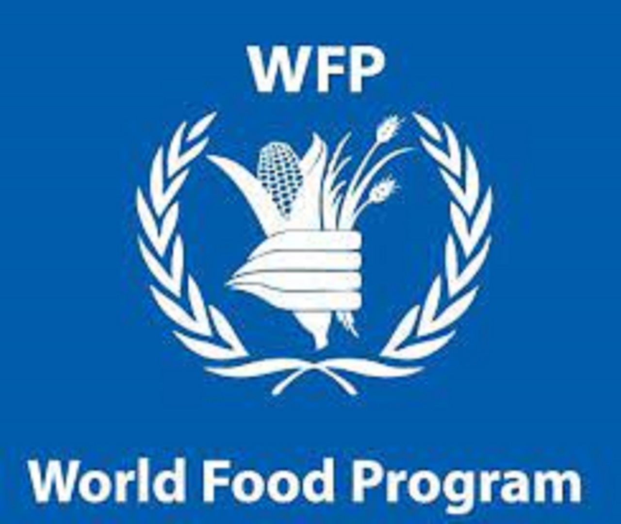 Recruitment: Apply For United Nations World Food Programme Jobs 2021 Here