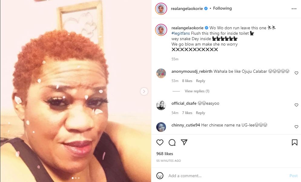 "Nigerians Should Flush This Thing In The Toilet" – Actress Angela Okorie Drags Stella DimokoKorkus To Shreds