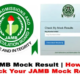 BREAKING: JAMB Result 2022 To Be Released With This Condition