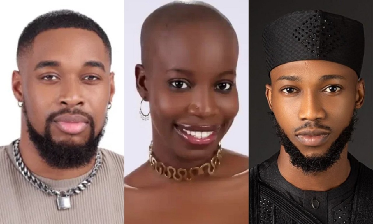 See How BBNaija Viewers Voted Allyson, Sheggz, Dotun